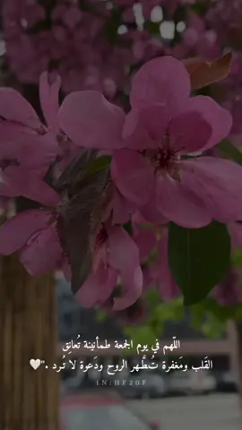 #صلوا_على_النبي #يوم_الجمعه #اكسبلور