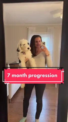 Our lives will never be the same 🥺💗 happy 7 months Olly! #sheepadoodle #timelapse #sheepadoodlepuppy #sheepadoodlesoftiktok #puppygrowth