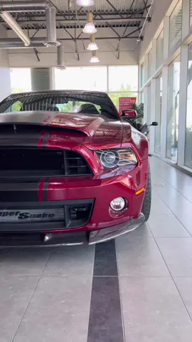 The King is for sale! 2014 GT500 Super Snake Widebody🫡 #musclemotorsreno #reno #nevada #shelby #supersnake #widebody #shelbyamerican #ford #mustang #americanmuscle #kennebell