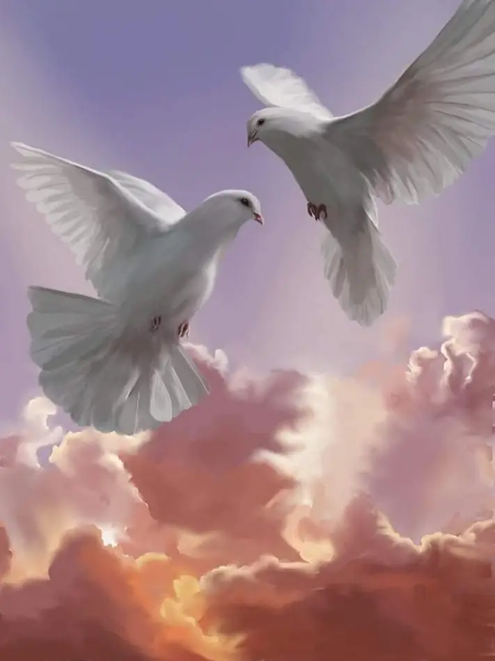 ငှက်ကလေးတေကိုချစ်တဲ့သူပါလား