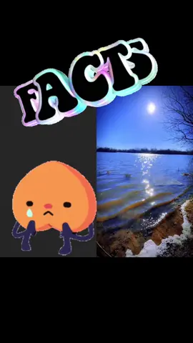 #duet with @betterdayss33