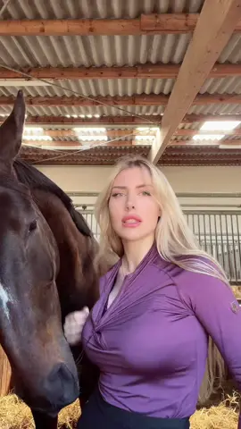 He’s back at it 😂🐴 IG:annchen.augustine #fy #foryou #equestrian