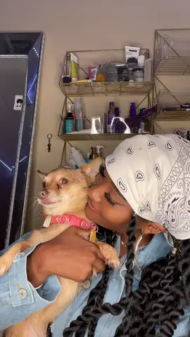 My entire heart ❤️ #MakeASplash #fyp #fypシ #viral #trending #trend #dog #dogsoftiktok