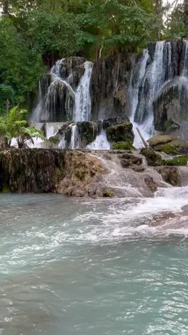🌳  #selva #tabasco #tabascomexico #naturaleza #cascadas #choco #chocotabasqueño #viajando #viajarporelmundo #travel #traveltiktok #travellife #gastronomia #cascadastabasco #teapa #chiapasmexico #cacao #couple #couplegoals #merida #meridayucatanmexico #yucatan #yucatecos #mexico🇲🇽 #foryou #foryoupage #goodvibes #vibes #cardenas #macuspana #trending