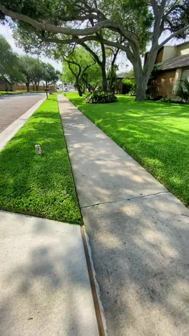 #foryoupage #yardero #lawntiktok #lawncare #parati #fyp #lawntok #texas