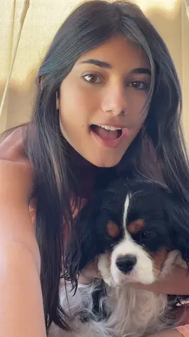 Disco🐶 #fypシ