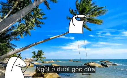 trái dừa rớt xuống làm một cái đùng #cohaidalat #xh #xhtiktok