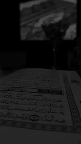 بصوت ميثم التمار | بنية النجاح والتوفيق ودفع البلاء 🤍.#القران_الكريم #quraankareem