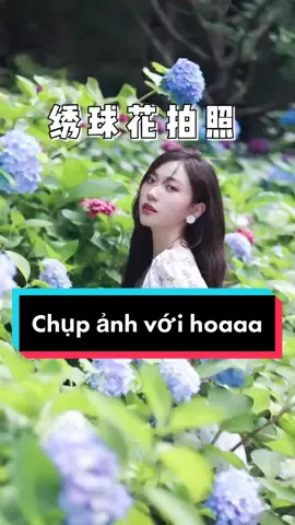 Lưu lại nè các chị em ❤️🌺 #tipschupanh #howtopose #fypシ #fyp #cachtaodang #LearnOnTikTok #tiktok #trending #tiktokindia #xuhuong #viral