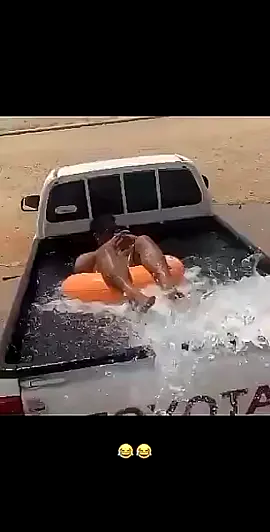 #اذا مالقيت مسبح🤣#مهدي