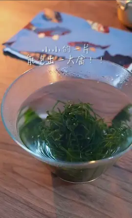 Spicy and crispy cold seaweed shreds!! It's fun to eat in a pot! #fyp #foryoupage #homemadefood #easycookingrecipes #xyzbca #seaweed