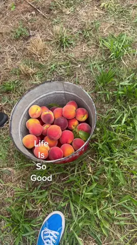 Life is so good …Love Live Breathe