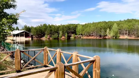 Yozgat, çamlık milli parkı.  #yozgat #fypシ