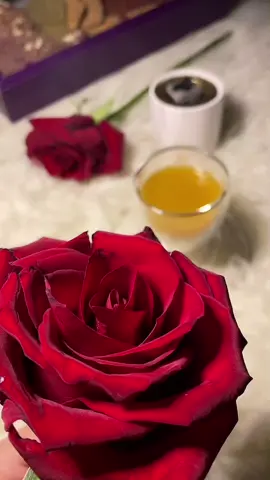 #مساء_الورد #ورد #ورد_الجوري #جوري_احمر #هديل_العتيبي #اكسبلور