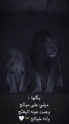يـكلها ميلـي علئ ميالـج وعمت عينه اليغثج وانـه خيالج 🦁🔥
