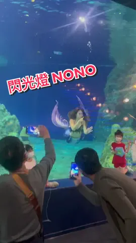 最近美人魚表演又讓更多人看見啦🧜🏼‍♀️💙我很驕傲自己曾經是一份子🥰#遠雄海洋公園 表演目前到九月中（大家趕快去看！記得不要開閃光燈🥺）#美人魚 #人魚表演 #別開閃光燈 #mermaid #mermaidshow #mermaidtaiwan