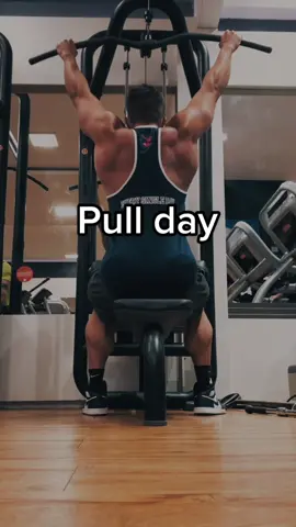 Dia de Dorsais por aqui 💥 #costas #backday #academia #treino