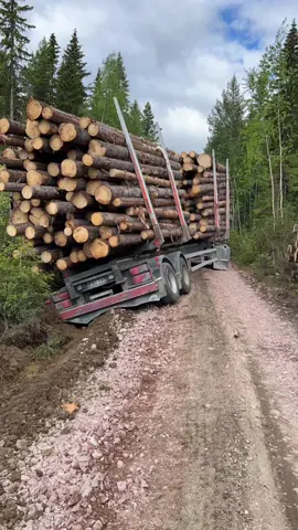 Varför man inte bara kan hålla käften, sa till en annan att de absolut inte va nå fel på vägen! Men det är de nu 😂 #timmerbil #norrland #loggingtruck #livingthedream #gäzagäza #volvo #foryou #sweden #fyp #epsilon