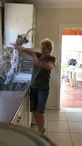 I just can’t help myself 🤷🏽‍♂️😂 #scareprank #funny #prank #fright