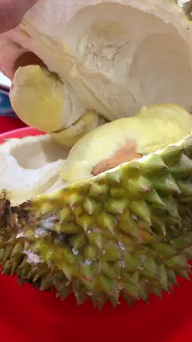 Gabisa nolak 🤤🤤🤤