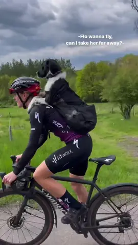 Demi Vollering is one of the best cyclists in the world…one of the best dog moms too. #fyp #dogsoftiktok #cycling