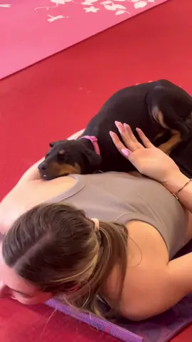 Puppies find comfort in the strangest sleeping positions