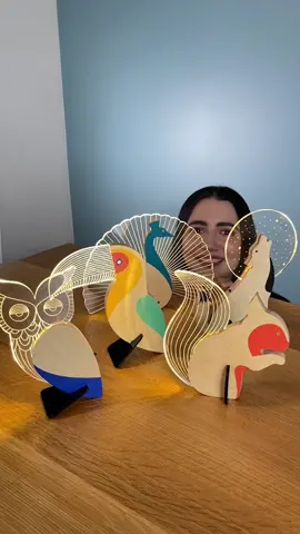 worth the wait? well, since i forgot i ordered them - i think so 💡#SmallBusiness #shopping #kickstarter