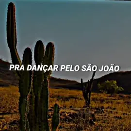 Eu esse ano vou embora pro sertão Edit  #edit #vouemboraprosertão🎶 #forro #forroedit #piseiro #piseiroedit #stenderyy