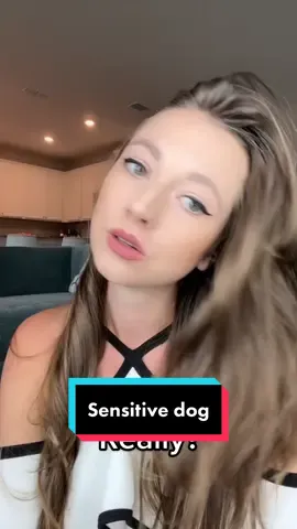 #dogs #dogsoftiktok #dogsvideo #comedy #fyp #foryou #foryoupage #viral #pitbull