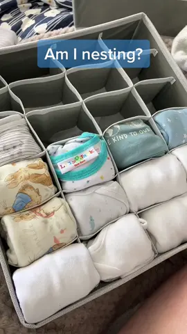 Is this nesting😅 #nesting #32weekspregnant #thirdtrimester #babyclothes
