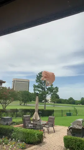 Just a little aesthetic clip from my day❤️🌺🥺 #fyp #aesthetic #beautiful #memories