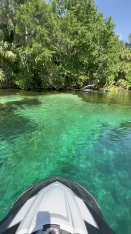 #floridaspringsrock#amazingspeings#welcometoflorida#clear#springwater#funinsun