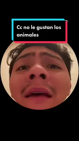 Si amas los animales te espero en insta: @mauthevetdoctor 👀🔥 #fyp #soycreador #mascotas #esemonstruonoesmiamigo #tiktokmascotas