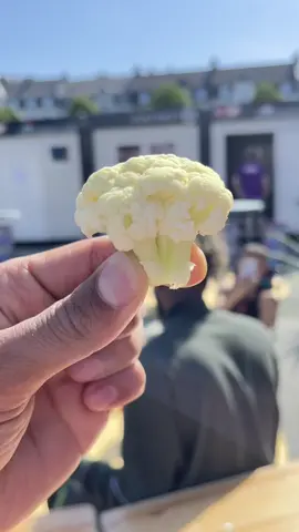 Our friend Nour aka Broccoli🤍 #fyp #oslo