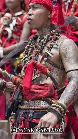 nih versi pangalima dayak kalimantan🥰❤️🙏🙏Cinta dayak #dayakganteng #kalimantanbaratpontianak #dayakcega #dayakborneo #kalimantan #sukudayak #sound #cintadayak #salintautan #salin #salinlink #kece #dayakhebat