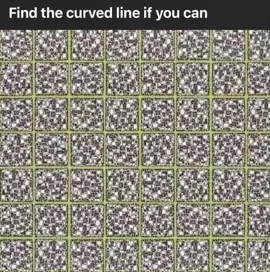 Follow for more illusions and art tutorials