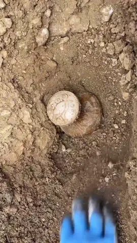 I found ancient greek treasure❗️