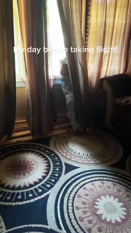 Not opposed to making the lonks in my bio romg 🤣 #desireebstephens #prideineverycolor #makeshifthappen #letshavetheconversation