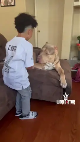 Caption this! 🐶😩 (IG @riddickbeaukennels) #PetsOfTikTok #BestFriends #viral