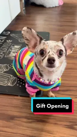 #thankyou Brittany! I luv my cute gift! 🐶🥰 #fyp #wishlist #amazon #package #happydog #dancydance #tippytaps #pjs #pajammas #rainbow #lgbtq #pridemonth #MakeNightsEpic