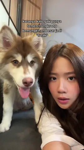 safe to say she disagree