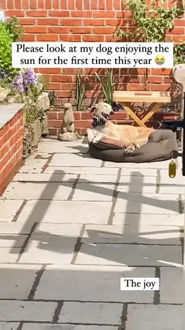 😂❤️ @ficklefriends