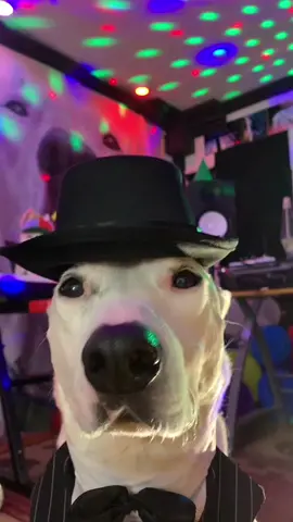 Dance with me