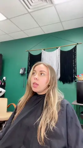 #salonkaren #karensoftiktok #hairstylistlife #hairstylistproblems #hairstylistsbelike #hairsalonconversation #hairstylistsoftiktok