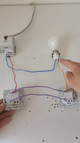 Va-et-vient 2 interrupteurs et 1 lampe #vaetvient #intrerrupteur #lampe #int #electrician #electric #electricien #electricity #electricite #lumier #work #tiktok #bricolage #bricomixt #brico #construction #batiment #pro #viraltiktok #viral #foryoupage #foryou #fy #fyp