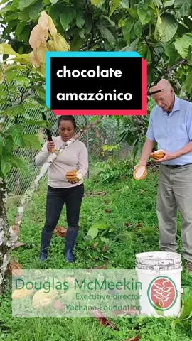 Desde el cacao al chocolate 🍫 #yamaha #unlugarparaaprender #chocolate #ecuador #amazonia #gringo