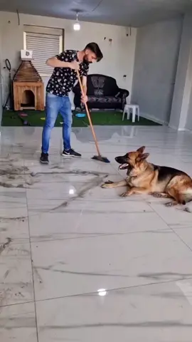 الصديق الوفي بدون ما تحكي بفهمك  مش مثل صحابكو بتقعد ساعه تحكي معو وبلاخر بحكيلك شو #🤣🤣🤣🤣🤣🤣 #منذر_ملك_تدريب_الكلاب