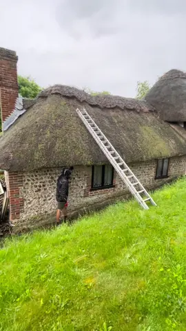 Built in the 1500’s! Before and after transformation of a recent straw roof 👌🏼 #thethatchingguy #alright #straw #thatching #before #after #transformation #fyp #foryou