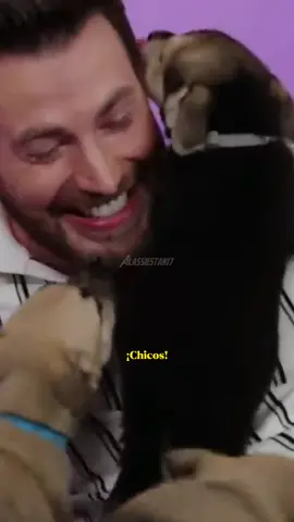 Chris con cachorritos #chrisevans #captainamerica #puppy #marvel #viral #fy