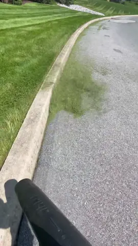 Apparently I stopped recording….but I think we all know where I was going with that grass 🤭 #StJudeDadPhotos #fyp #relaxing #satisfying #oddlysatisfying #stihl